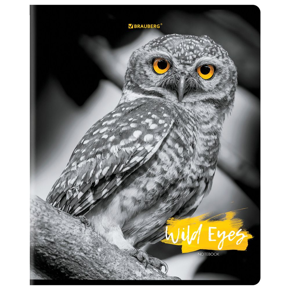 Тетрадь А5, 48 л., BRAUBERG, скоба, клетка, выборочный лак, "Wild eyes" (микс в спайке)