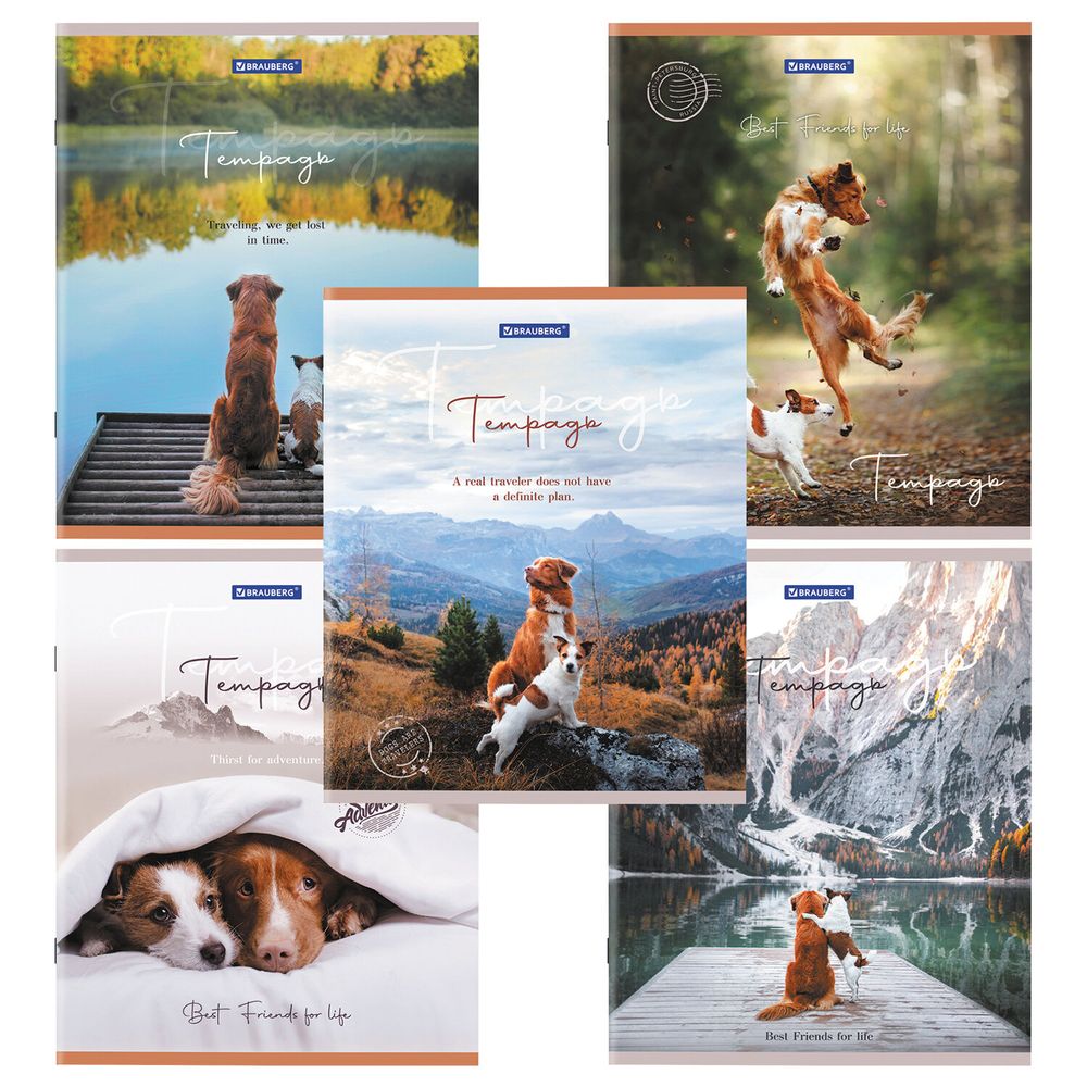 Тетрадь А5 48 л. BRAUBERG скоба, клетка, обложка картон, "Best Friends" (микс в спайке)