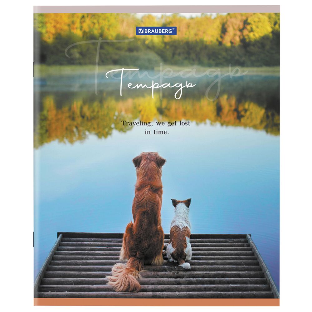 Тетрадь А5 48 л. BRAUBERG скоба, клетка, обложка картон, "Best Friends" (микс в спайке)