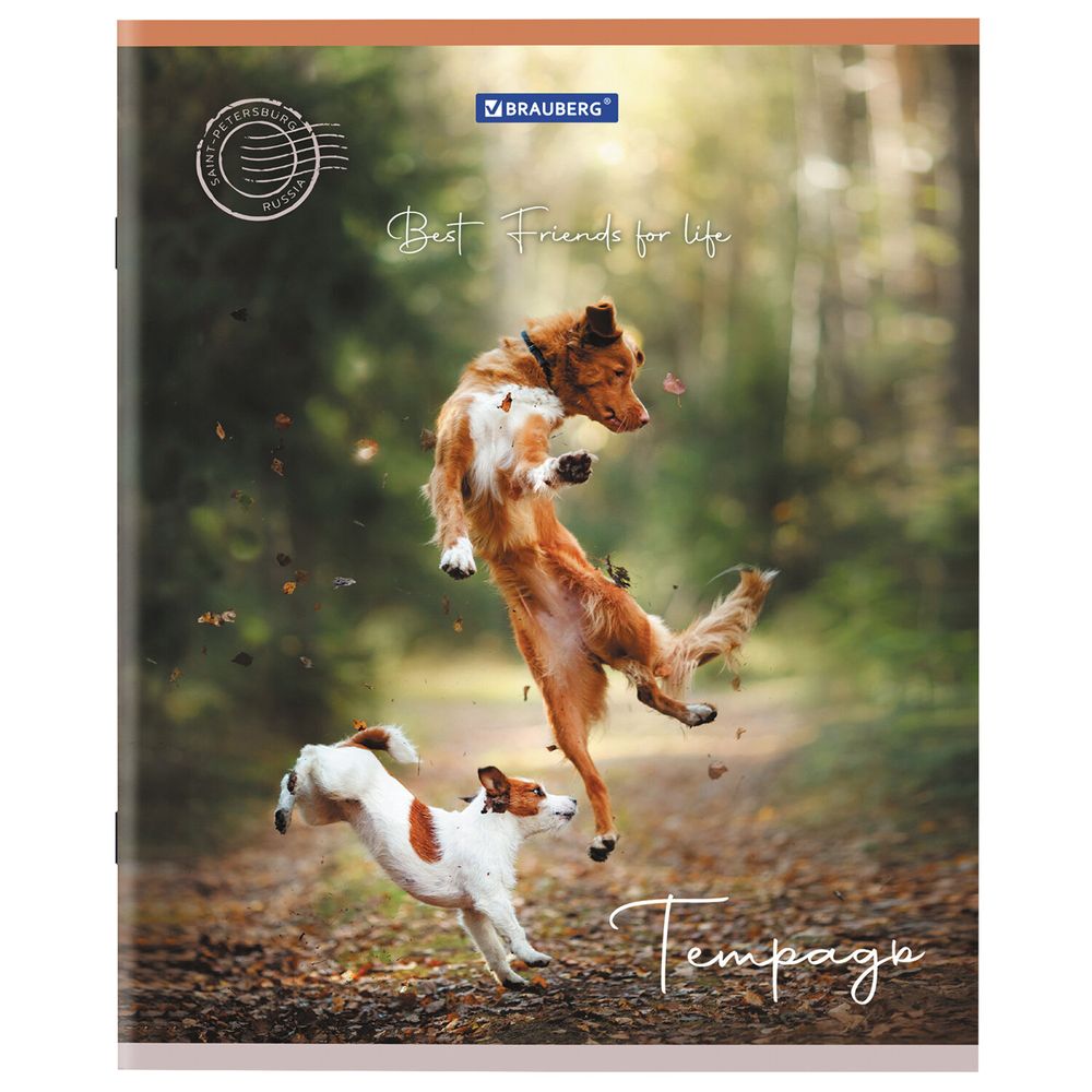 Тетрадь А5 48 л. BRAUBERG скоба, клетка, обложка картон, "Best Friends" (микс в спайке)