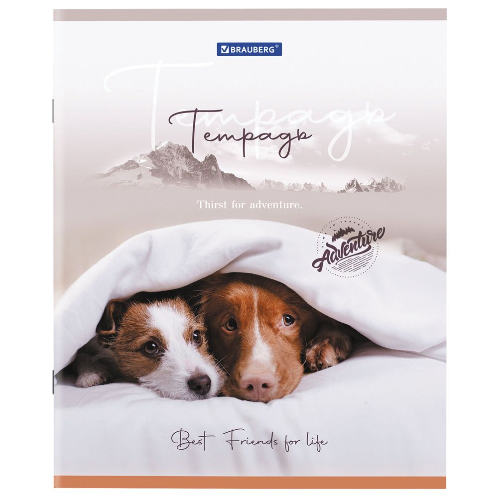 Тетрадь А5 48 л. BRAUBERG скоба, клетка, обложка картон, "Best Friends" (микс в спайке)