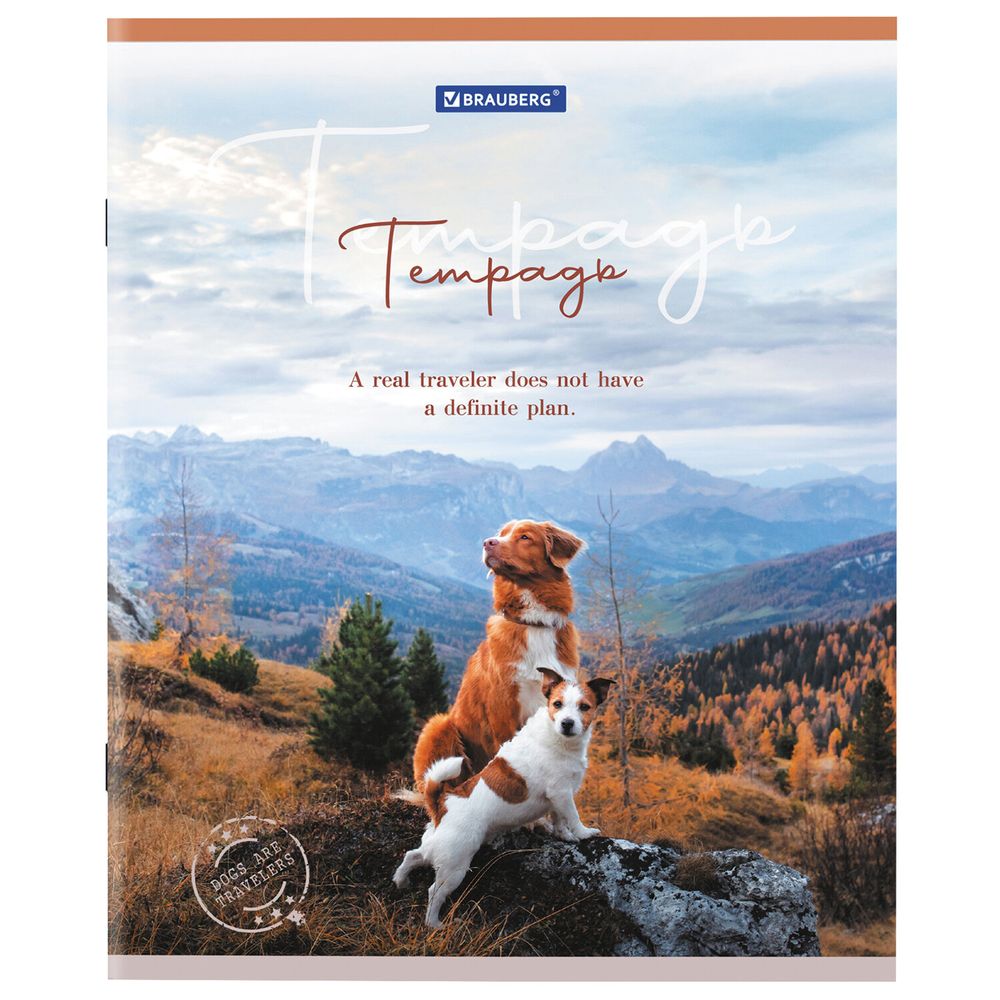 Тетрадь А5 48 л. BRAUBERG скоба, клетка, обложка картон, "Best Friends" (микс в спайке)