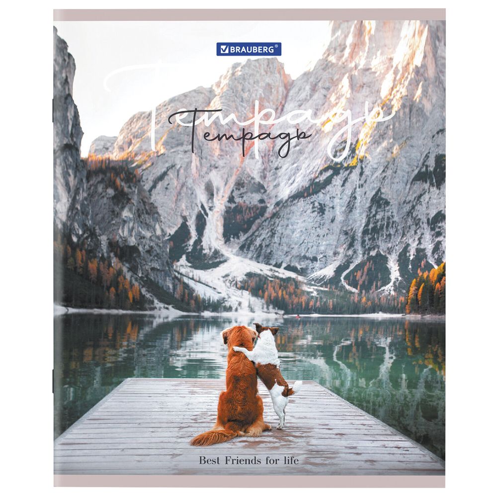 Тетрадь А5 48 л. BRAUBERG скоба, клетка, обложка картон, "Best Friends" (микс в спайке)