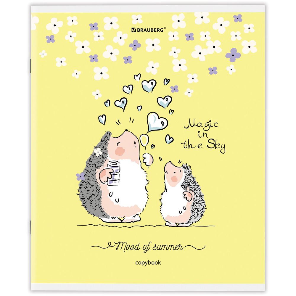 Тетрадь А5 48 л. BRAUBERG скоба, клетка, обложка картон, "Приключения Ёжика" (микс в спайке)