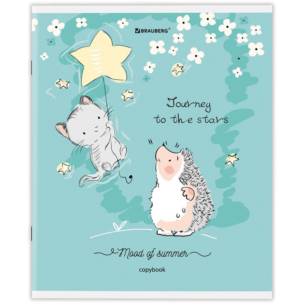 Тетрадь А5 48 л. BRAUBERG скоба, клетка, обложка картон, "Приключения Ёжика" (микс в спайке)