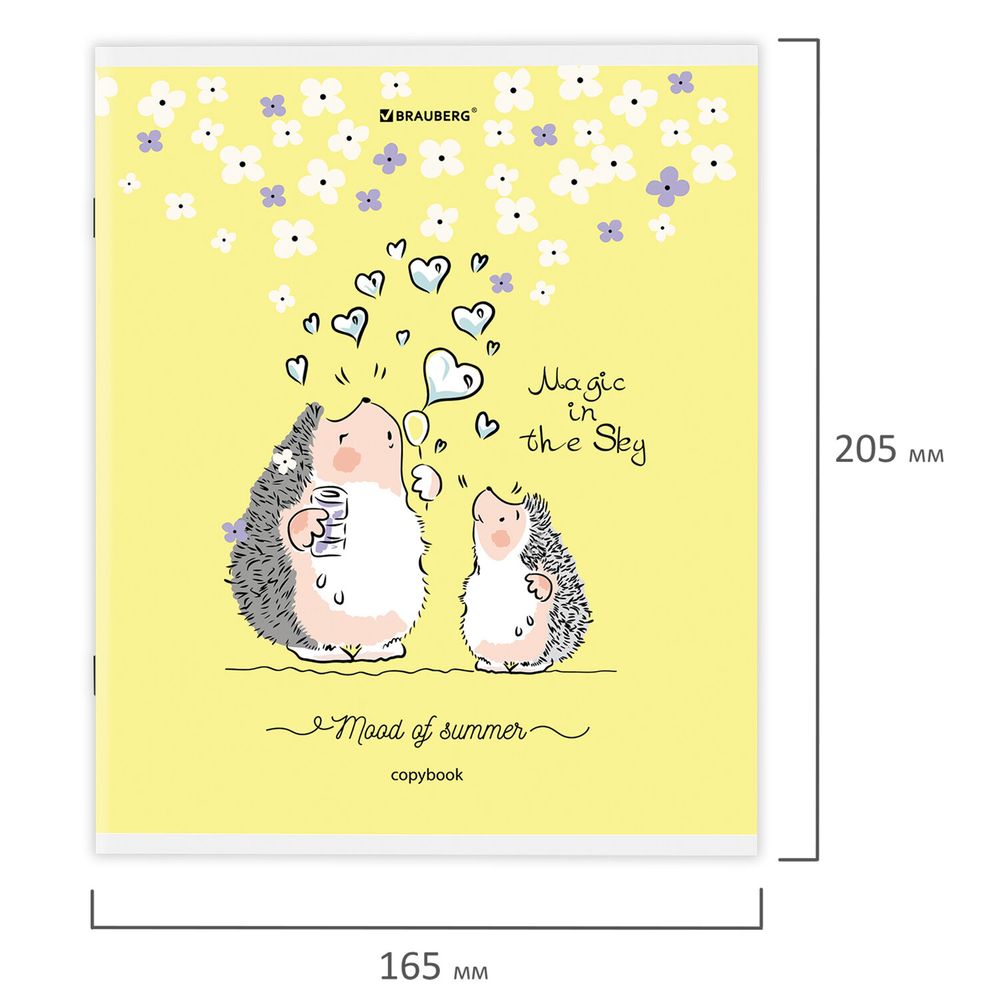 Тетрадь А5 48 л. BRAUBERG скоба, клетка, обложка картон, "Приключения Ёжика" (микс в спайке)