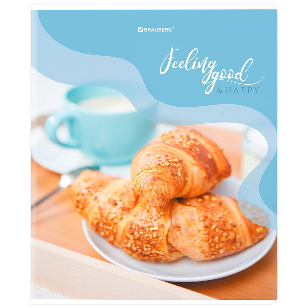 Тетрадь А5, 48 л., BRAUBERG, скоба, клетка, матовая ламинация, выборочный лак, "Sweets" (микс в спайке)