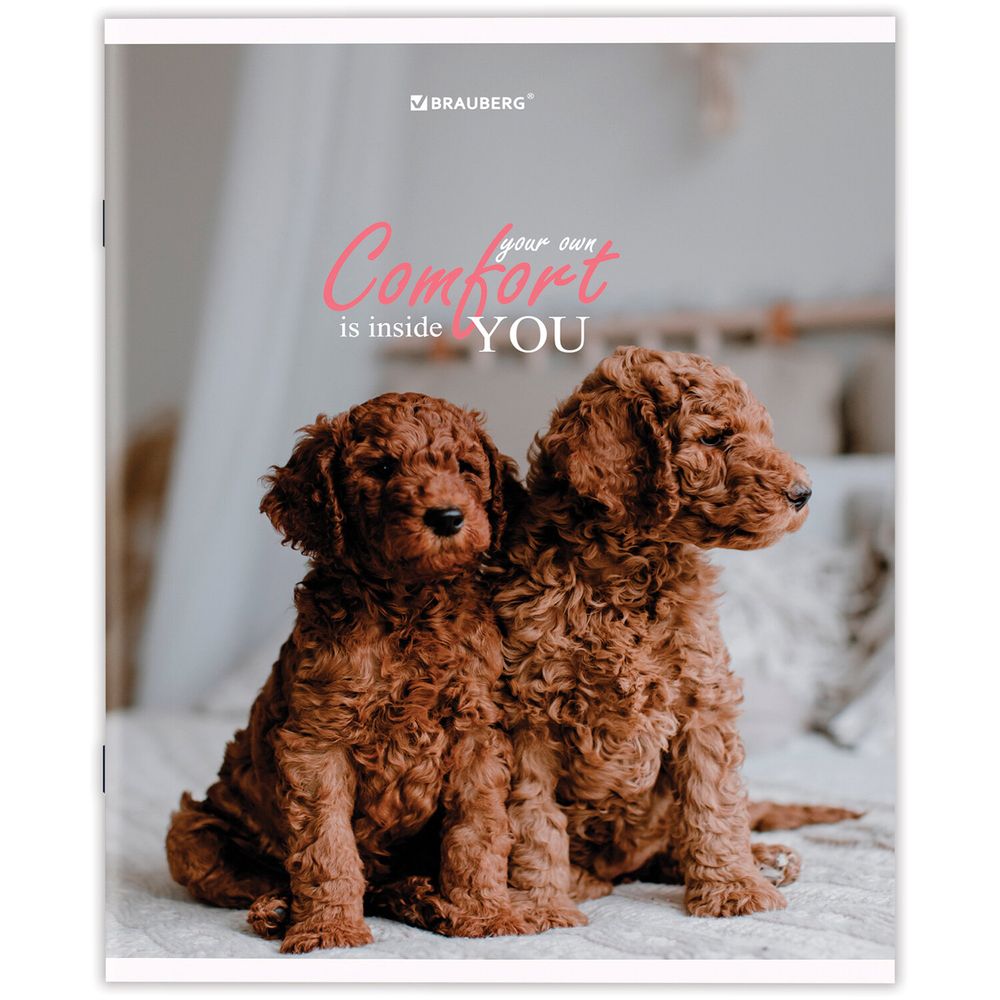 Тетрадь А5 48 л. BRAUBERG скоба, линия, обложка картон, "Питомцы" (микс в спайке)