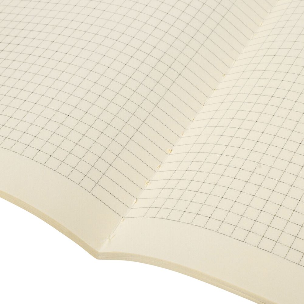 Тетради 60 л. в клетку обложка SoftTouch, НАБОР 2 шт., бежевая бумага 70 г/м2, сшивка, B5 (179х250 мм), FANTASY, BRAUBERG