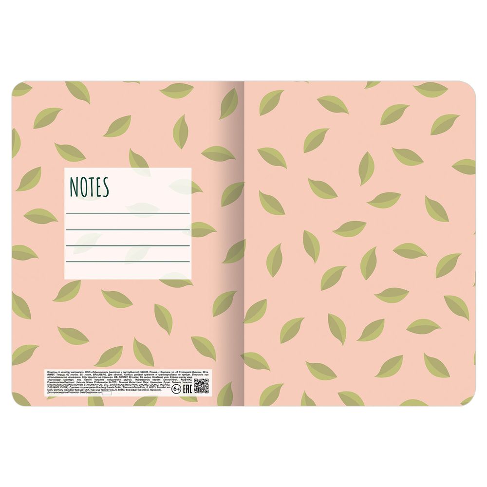 Тетради 60 л. в линию обложка SoftTouch, НАБОР 2 шт., бежевая бумага 70 г/м2, сшивка, B5 (179х250 мм), КОНТРАСТ, BRAUBERG