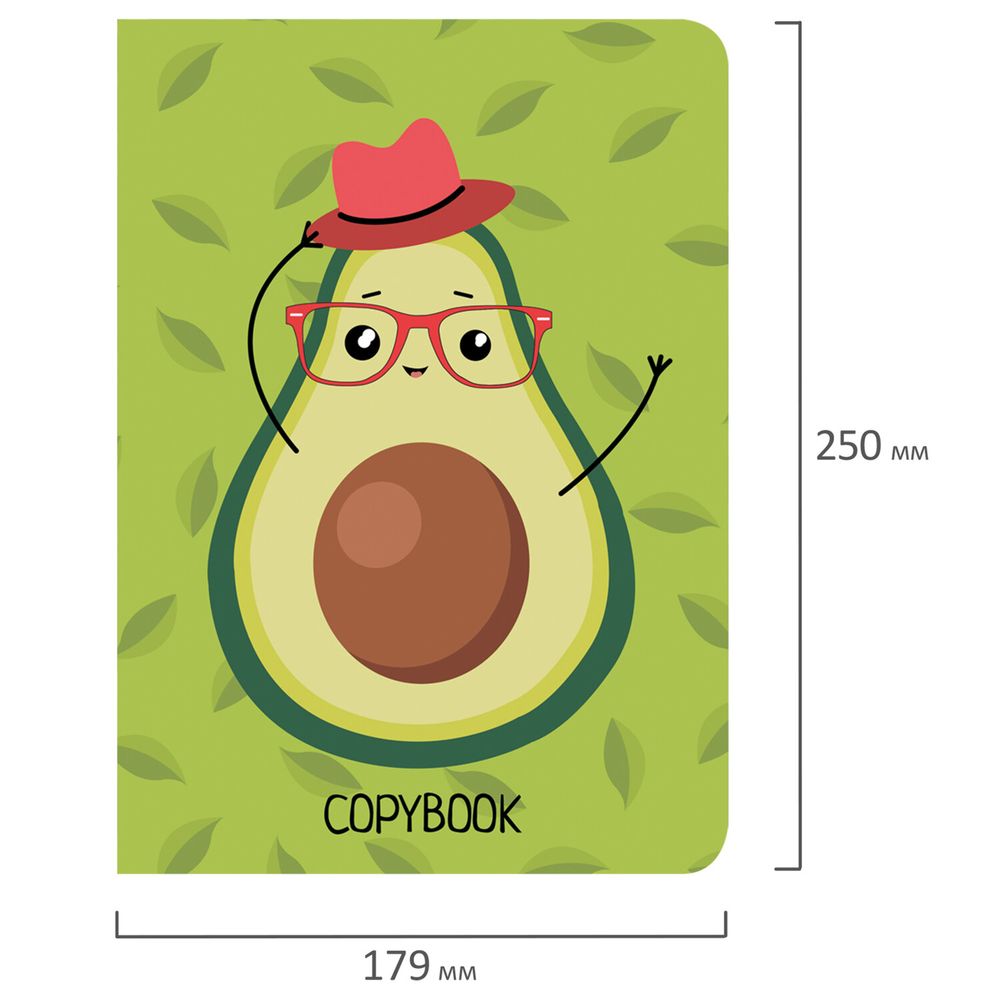 Тетради 60 л. в линию обложка SoftTouch, НАБОР 2 шт., бежевая бумага 70 г/м2, сшивка, B5 (179х250 мм), КОНТРАСТ, BRAUBERG