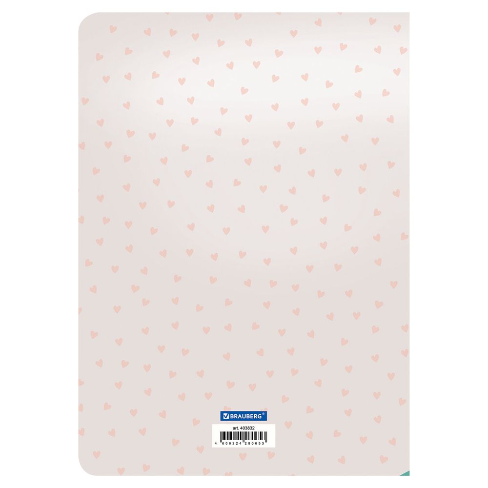 Тетради-скетчбуки 60 л. обложка SoftTouch, НАБОР 2 шт., бежевая бумага 70 г/м2, сшивка, B5 (179х250 мм), ROMANTIC, BRAUBERG