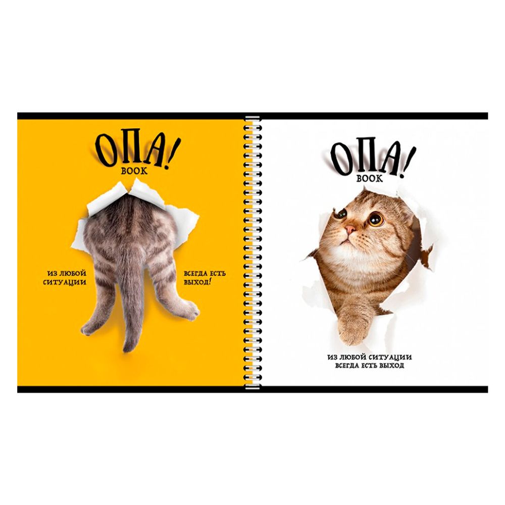 Тетрадь А5 96 л. ПЗБМ, гребень, клетка/линия, выборочный лак, перевёртыш, "Опа!" (5 видов)