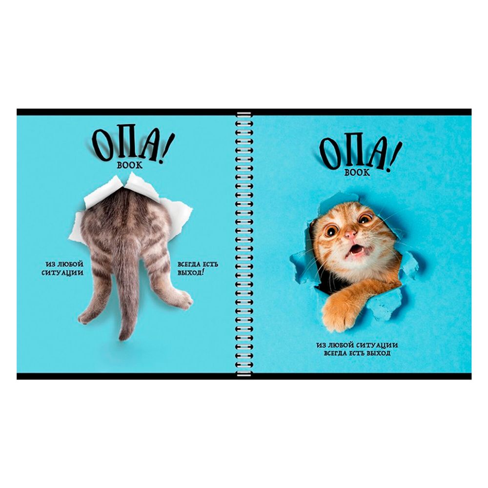 Тетрадь А5 96 л. ПЗБМ, гребень, клетка/линия, выборочный лак, перевёртыш, "Опа!" (5 видов)