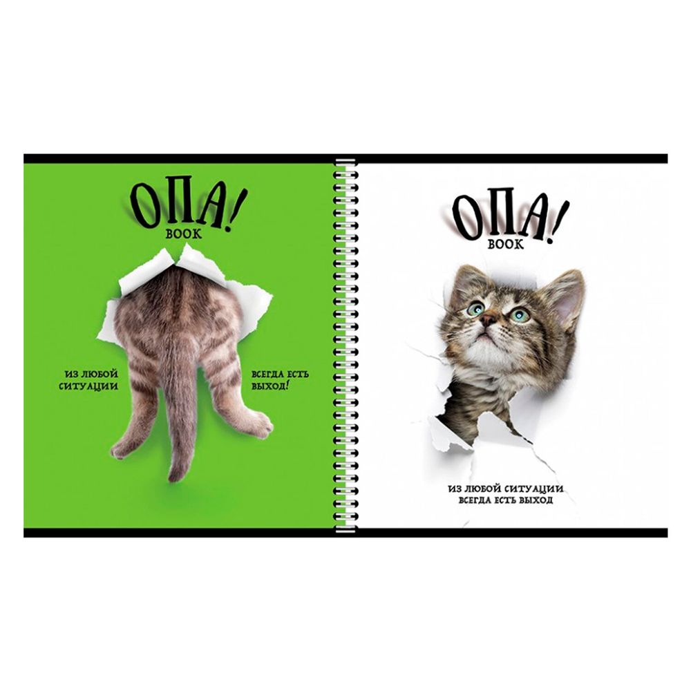 Тетрадь А5 96 л. ПЗБМ, гребень, клетка/линия, выборочный лак, перевёртыш, "Опа!" (5 видов)