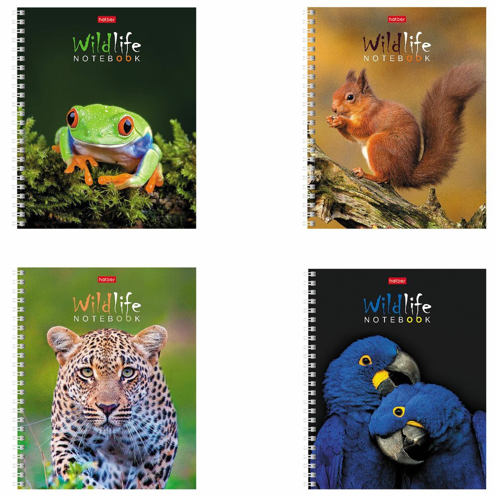 Тетрадь А5, 80 л., HATBER гребень, клетка, обложка картон, 