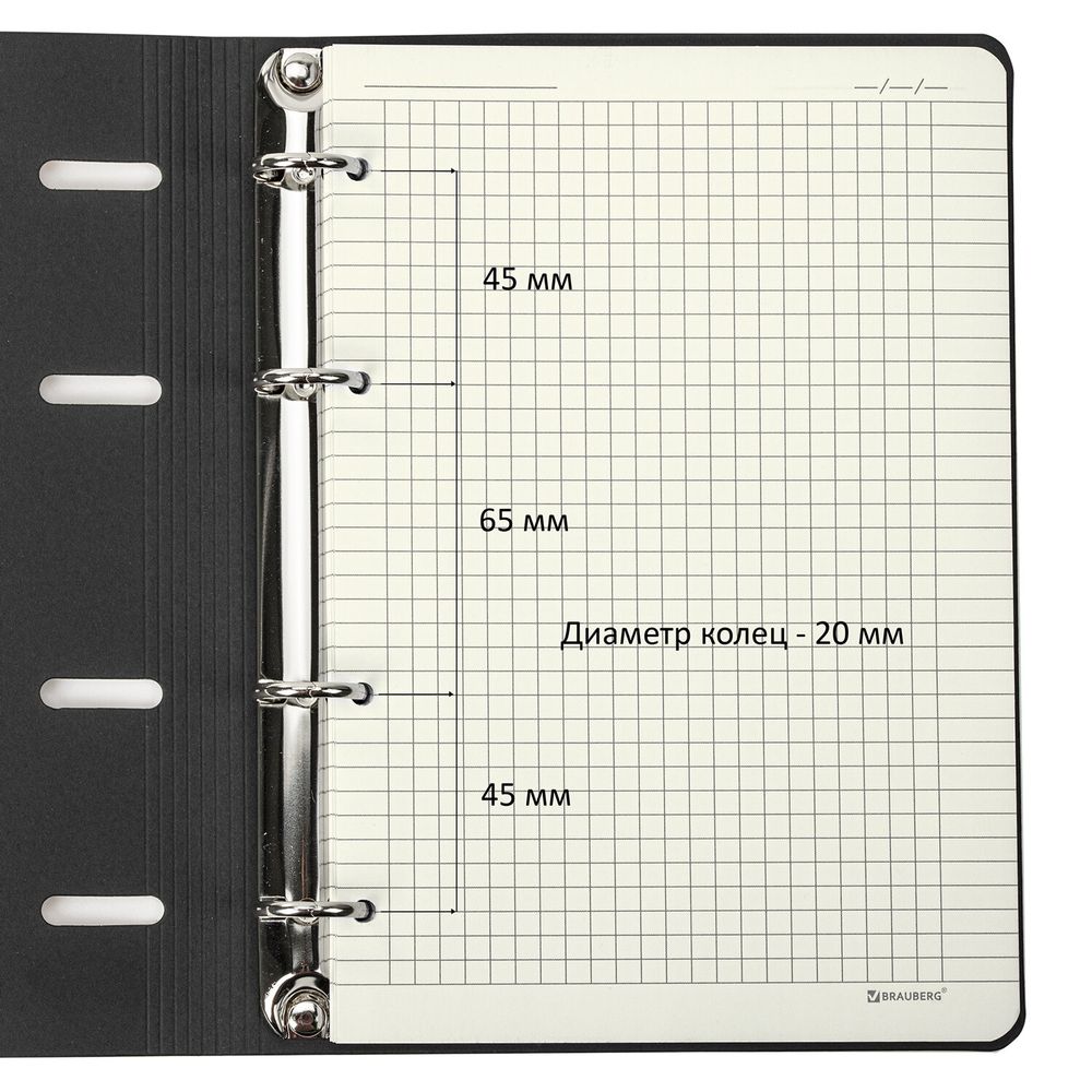 Тетрадь на кольцах А5 (180х220 мм), 80 листов, под кожу, клетка, тиснение фольгой, BRAUBERG VISTA, Avocado
