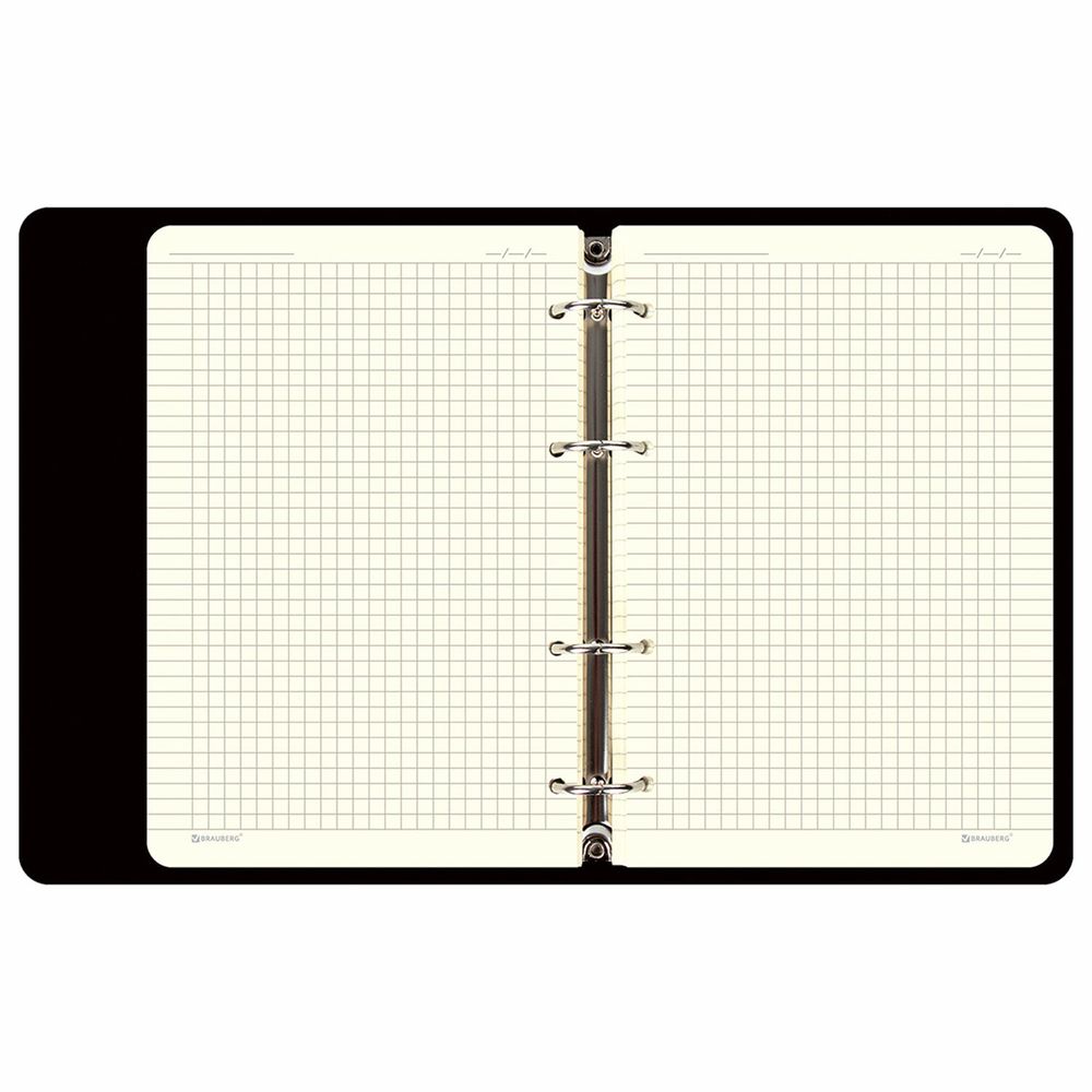 Тетрадь на кольцах А5 (180х220 мм), 80 листов, под кожу, клетка, тиснение фольгой, BRAUBERG VISTA, Avocado