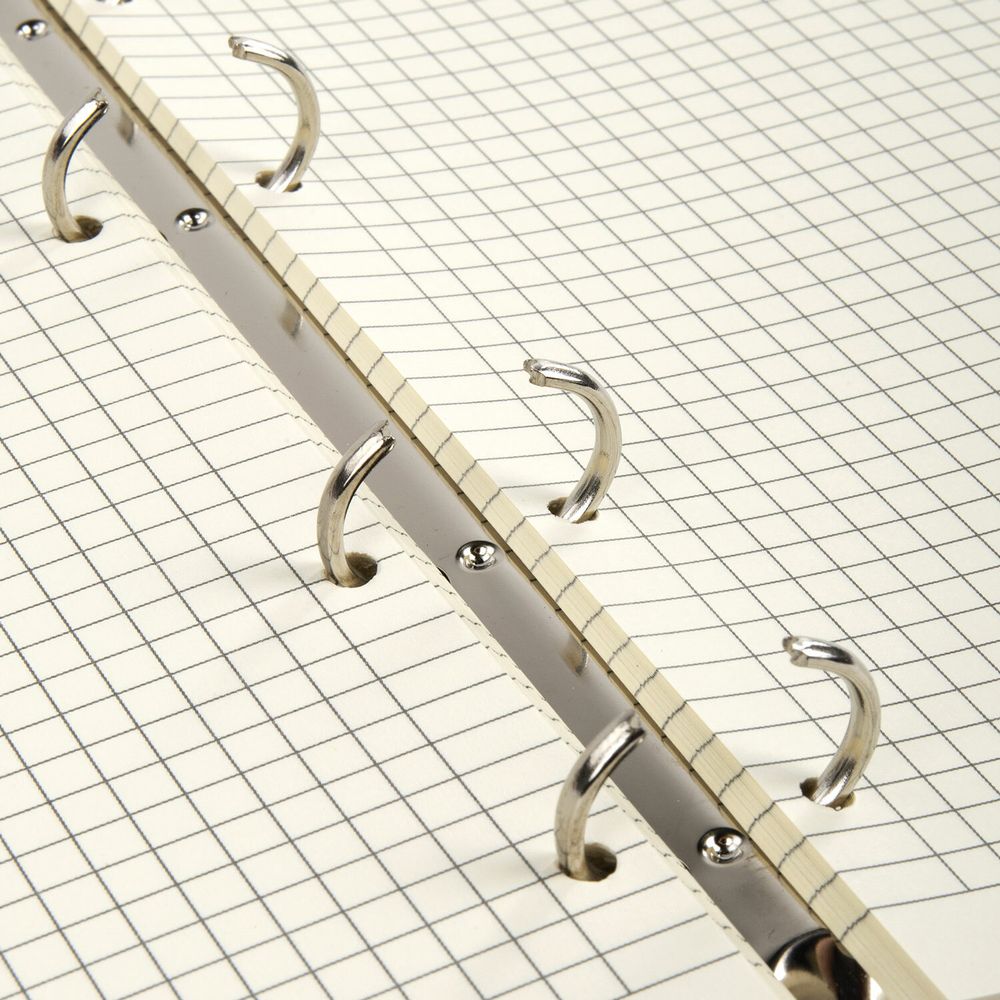 Тетрадь на кольцах А5 (180х220 мм), 80 листов, под кожу, клетка, тиснение фольгой, BRAUBERG VISTA, Avocado