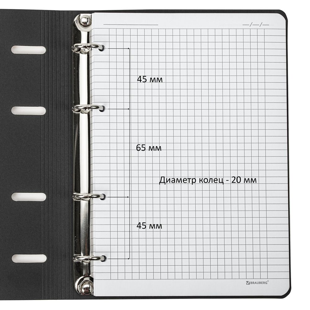 Тетрадь на кольцах А5 (180х220 мм), 80 листов, под кожу, клетка, тиснение фольгой, BRAUBERG VISTA, Gradient