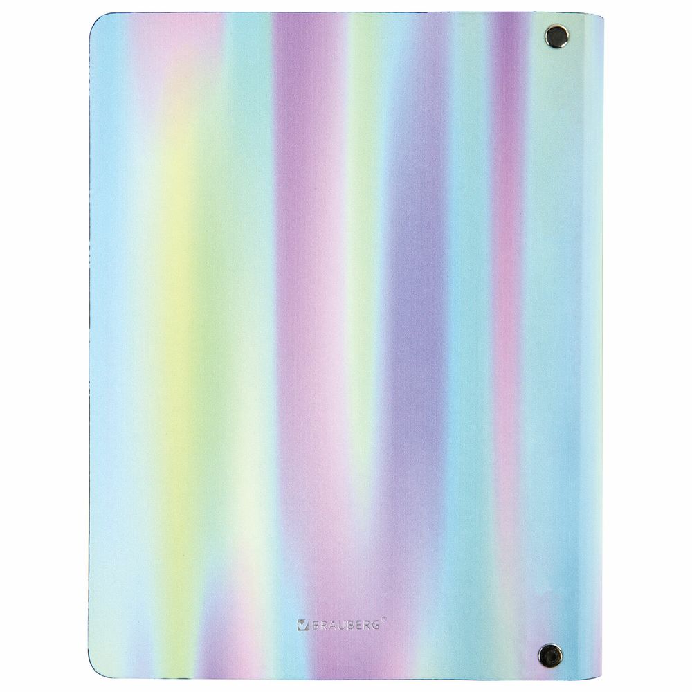 Тетрадь на кольцах А5 (180х220 мм), 80 листов, под кожу, клетка, тиснение фольгой, BRAUBERG VISTA, Gradient