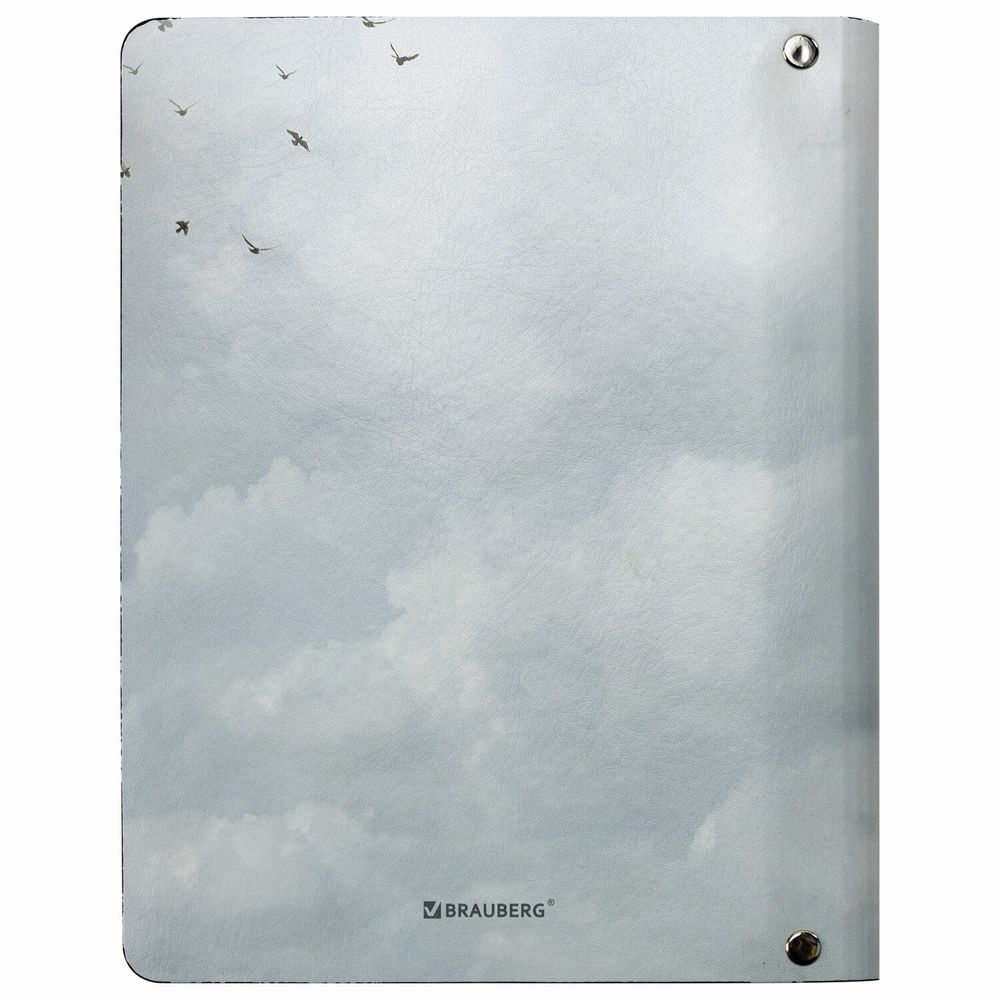 Тетрадь на кольцах А5 (180х220 мм), 80 листов, под кожу, клетка, BRAUBERG VISTA, Infinite way