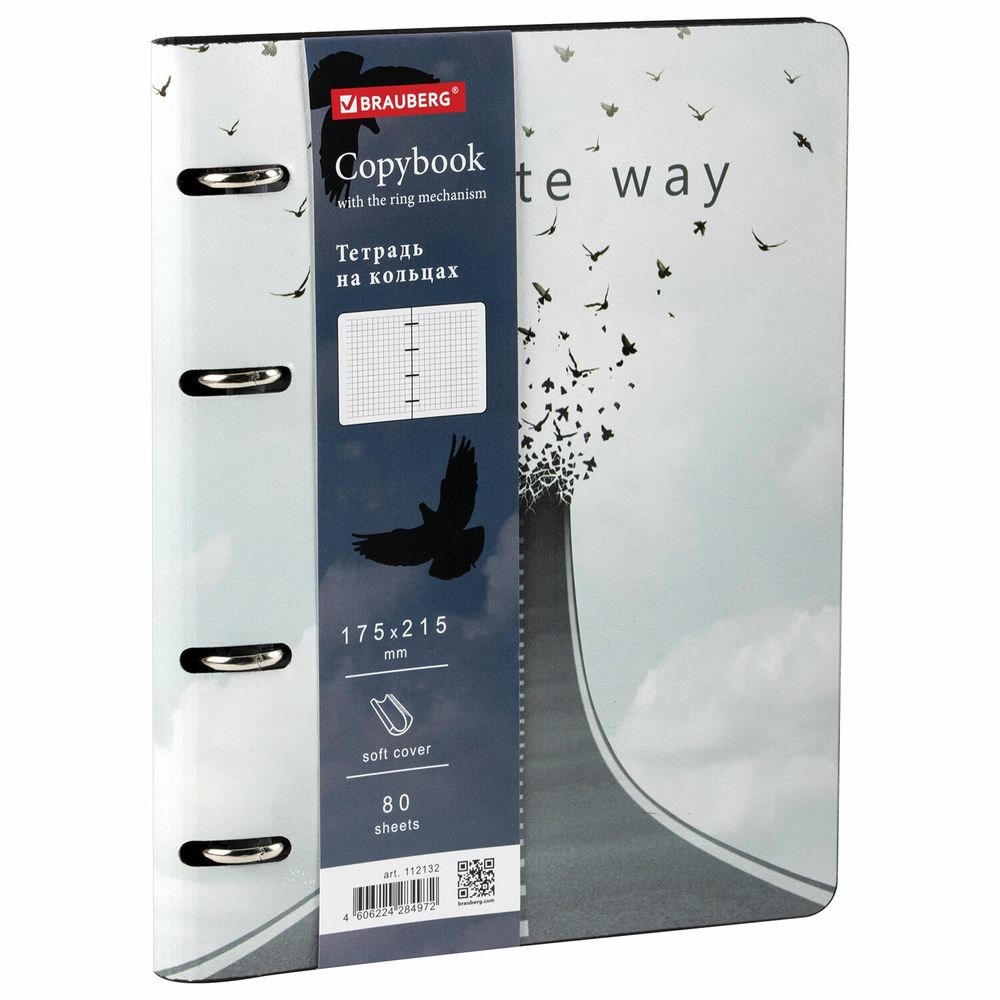 Тетрадь на кольцах А5 (180х220 мм), 80 листов, под кожу, клетка, BRAUBERG VISTA, Infinite way