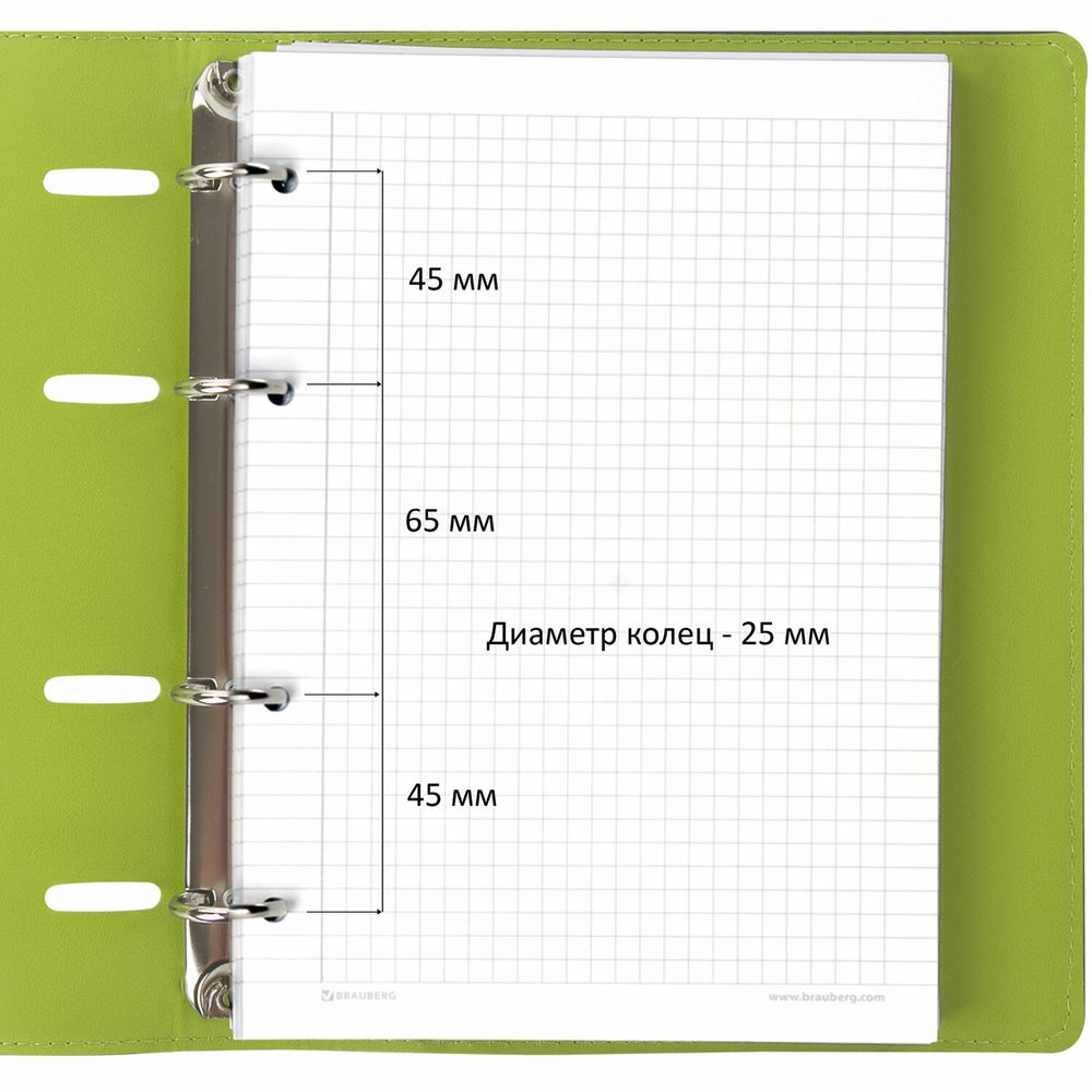 Тетрадь на кольцах А5 (180х220 мм), 120 листов, под кожу, клетка, BRAUBERG "Joy", зелёный/светло-зелёный