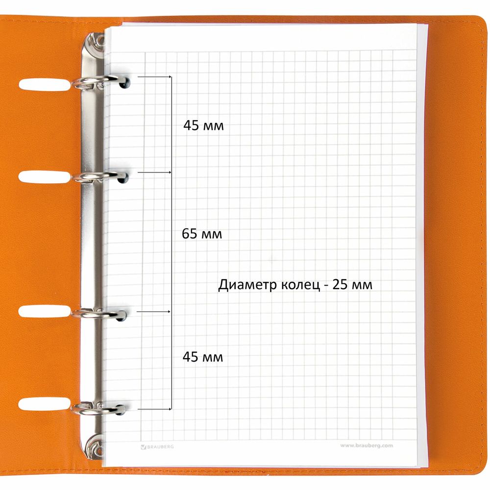 Тетрадь на кольцах А5 (180х220 мм), 120 листов, под кожу, клетка, BRAUBERG 