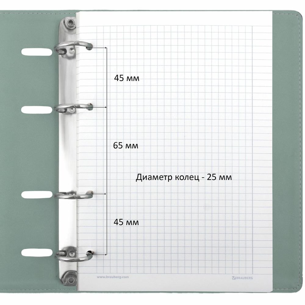 Тетрадь на кольцах А5 (180х220 мм), 120 листов, под кожу, клетка, BRAUBERG 