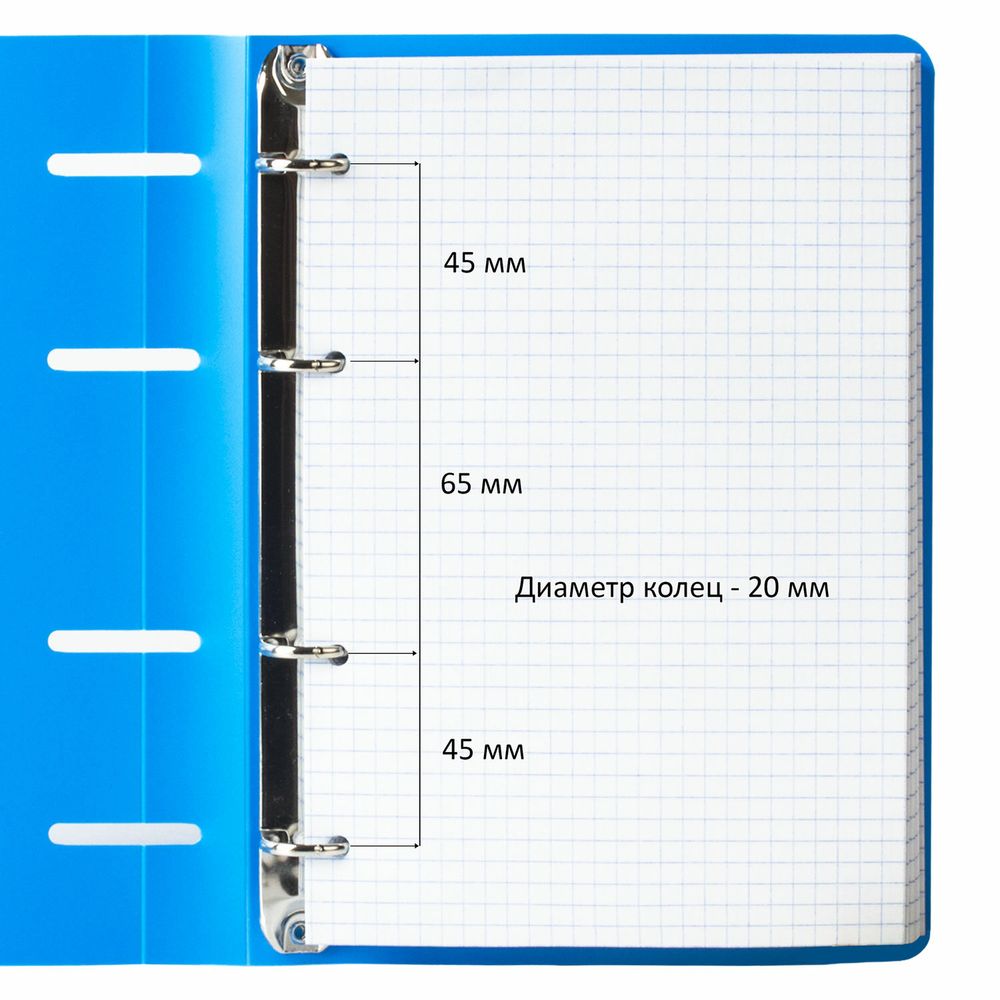 Тетрадь на кольцах А5 160х215 мм, 80 л., пластик, клетка, BRAUBERG, "Голубой"