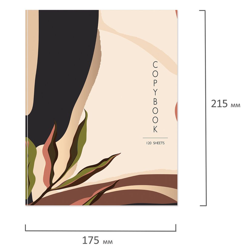 Тетрадь на кольцах А5 (175х215 мм), 120 листов, твердый картон, клетка, BRAUBERG, Vision