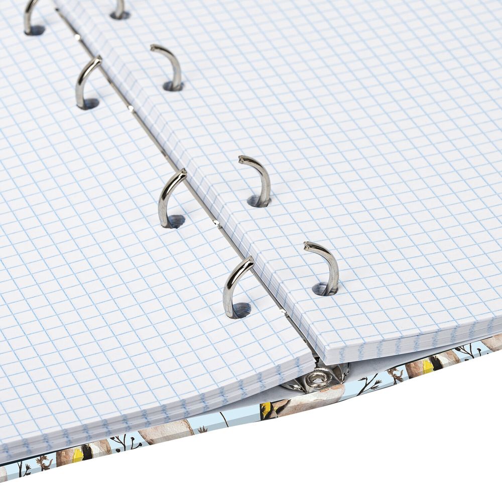 Тетрадь на кольцах А5 (175х215 мм), 120 листов, твердый картон, клетка, BRAUBERG, Щеглы