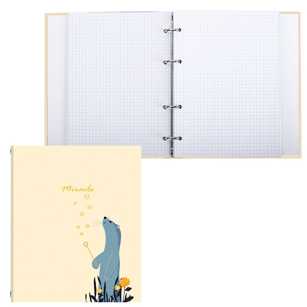 Тетрадь на кольцах А5 (175х215 мм), 240 листов, твердый картон, клетка, BRAUBERG, Miracle