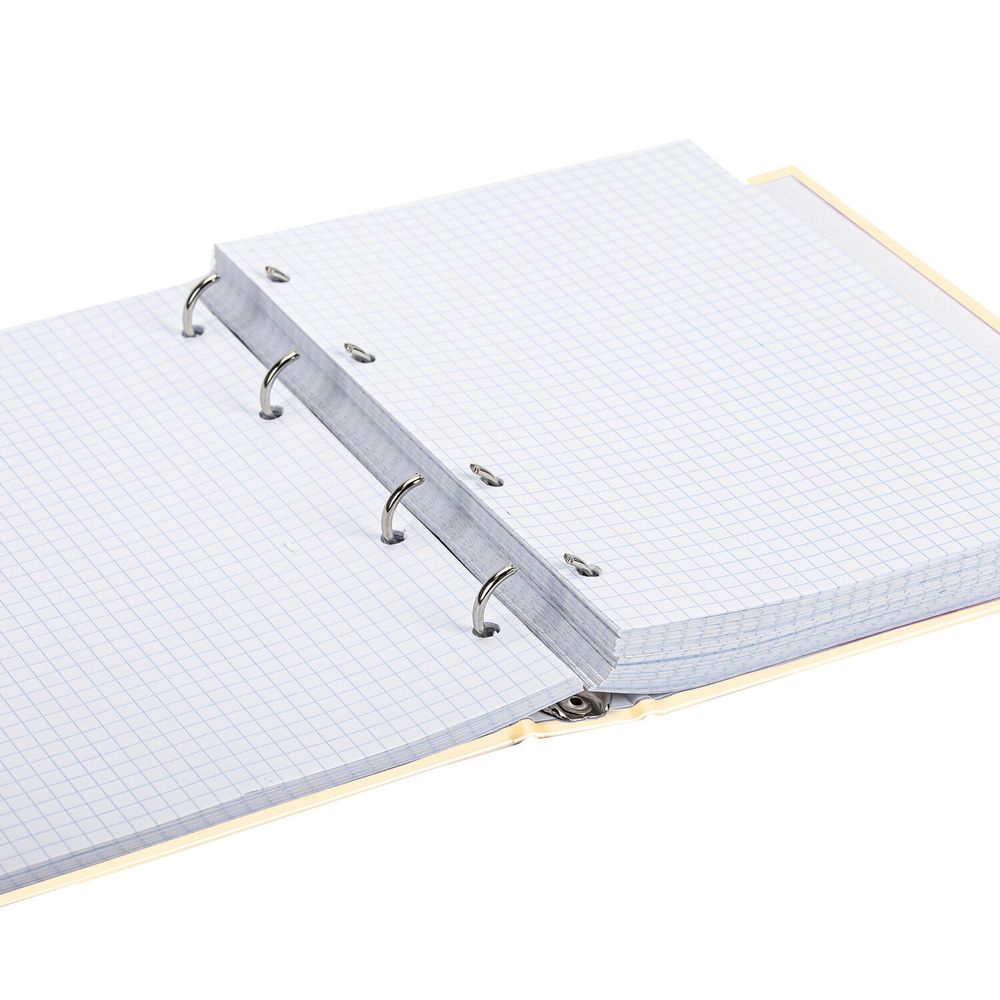 Тетрадь на кольцах А5 (175х215 мм), 240 листов, твердый картон, клетка, BRAUBERG, Miracle