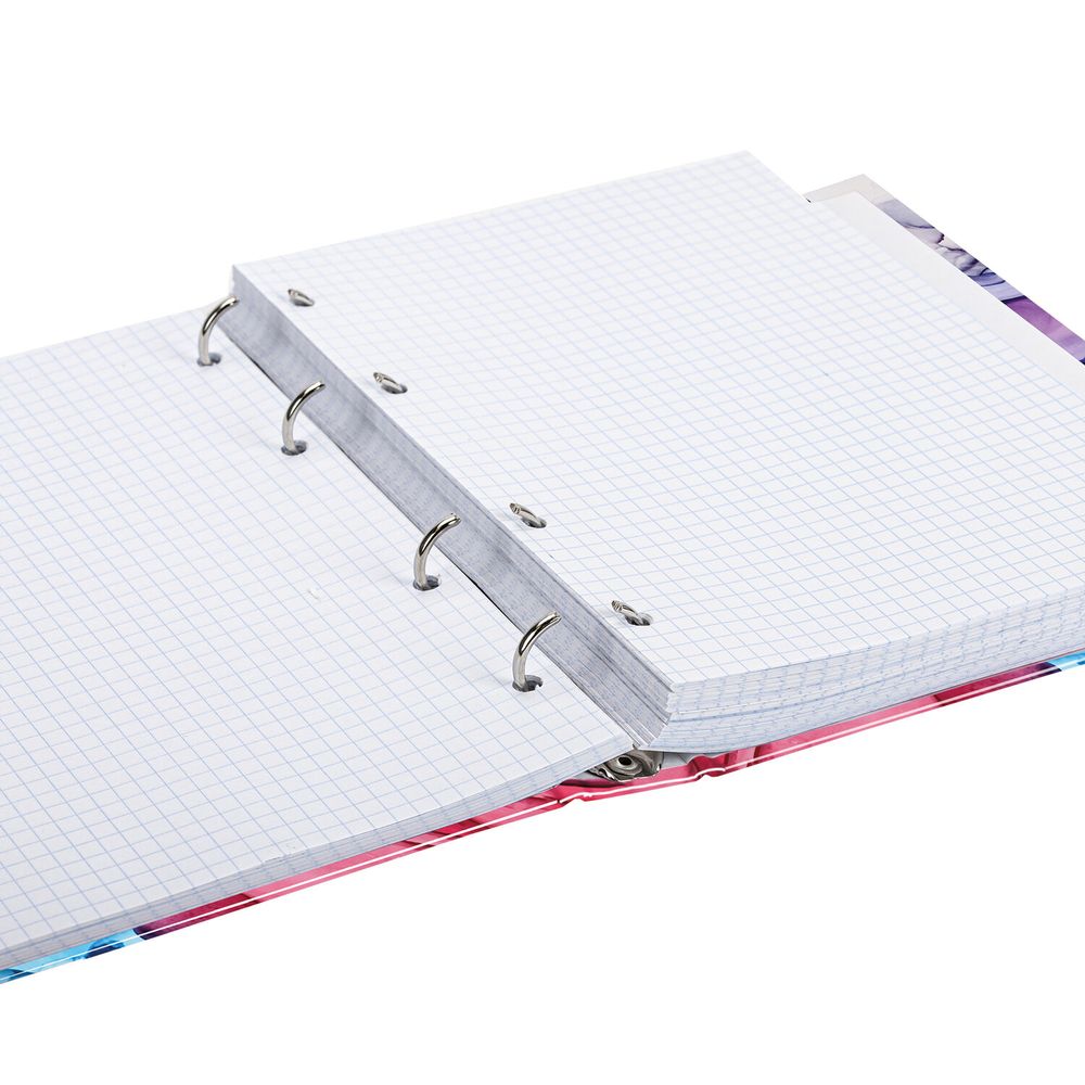 Тетрадь на кольцах А5 (175х215 мм), 240 листов, твердый картон, клетка, BRAUBERG, Акварель