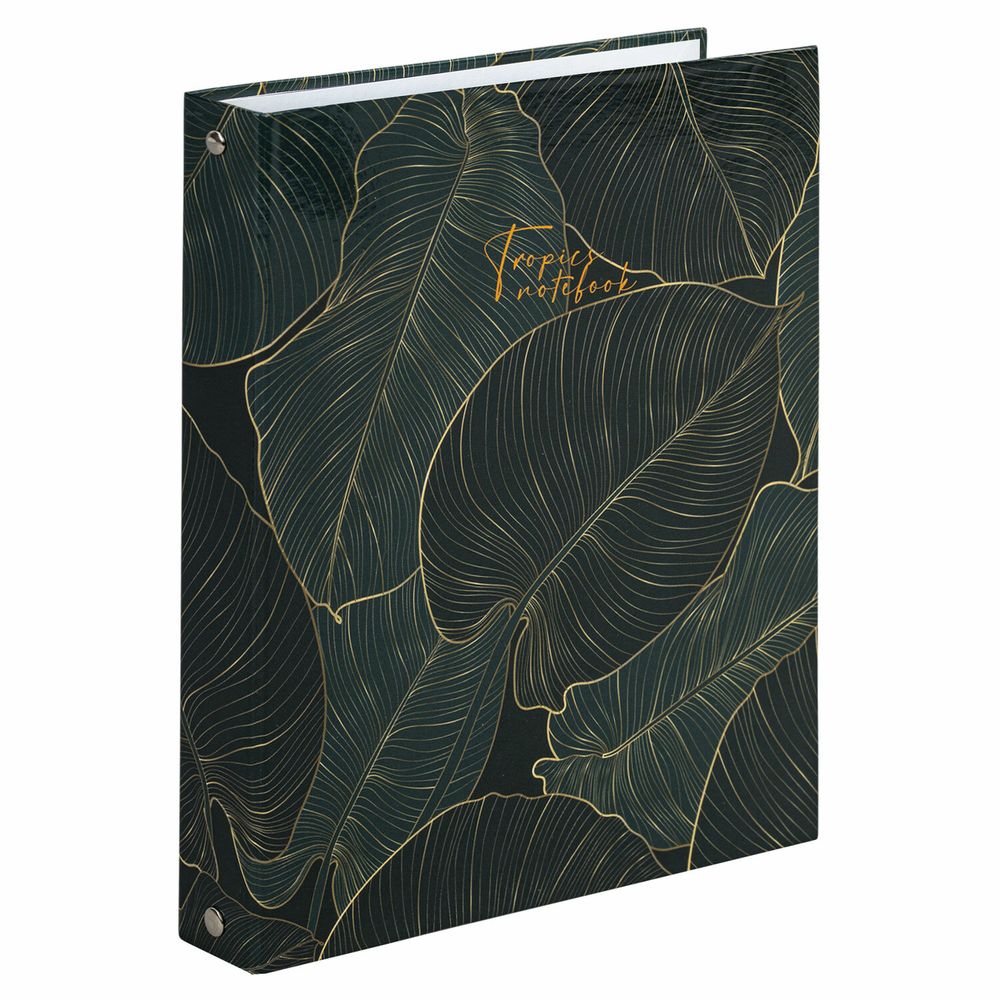 Тетрадь на кольцах А5 (175х215 мм), 240 листов, твердый картон, клетка, с разделителями, BRAUBERG, Листья