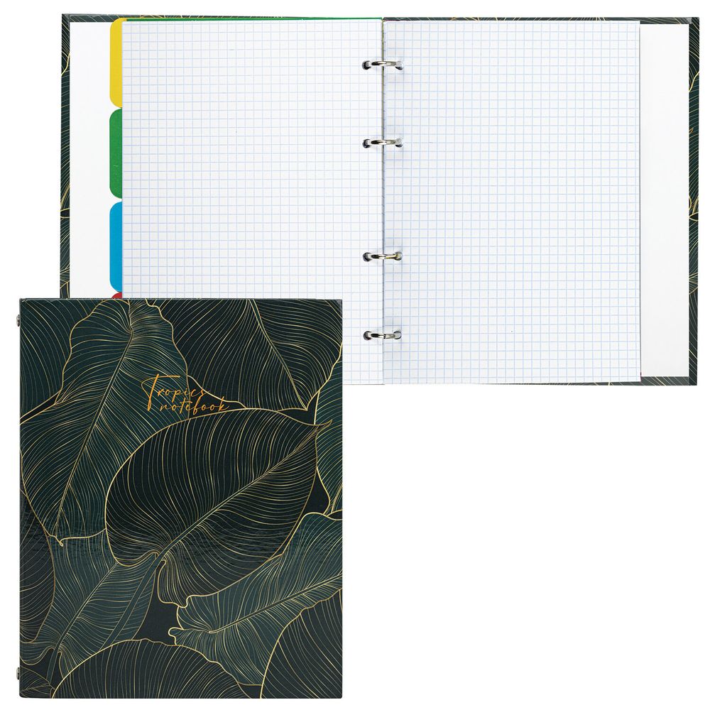 Тетрадь на кольцах А5 (175х215 мм), 240 листов, твердый картон, клетка, с разделителями, BRAUBERG, Листья