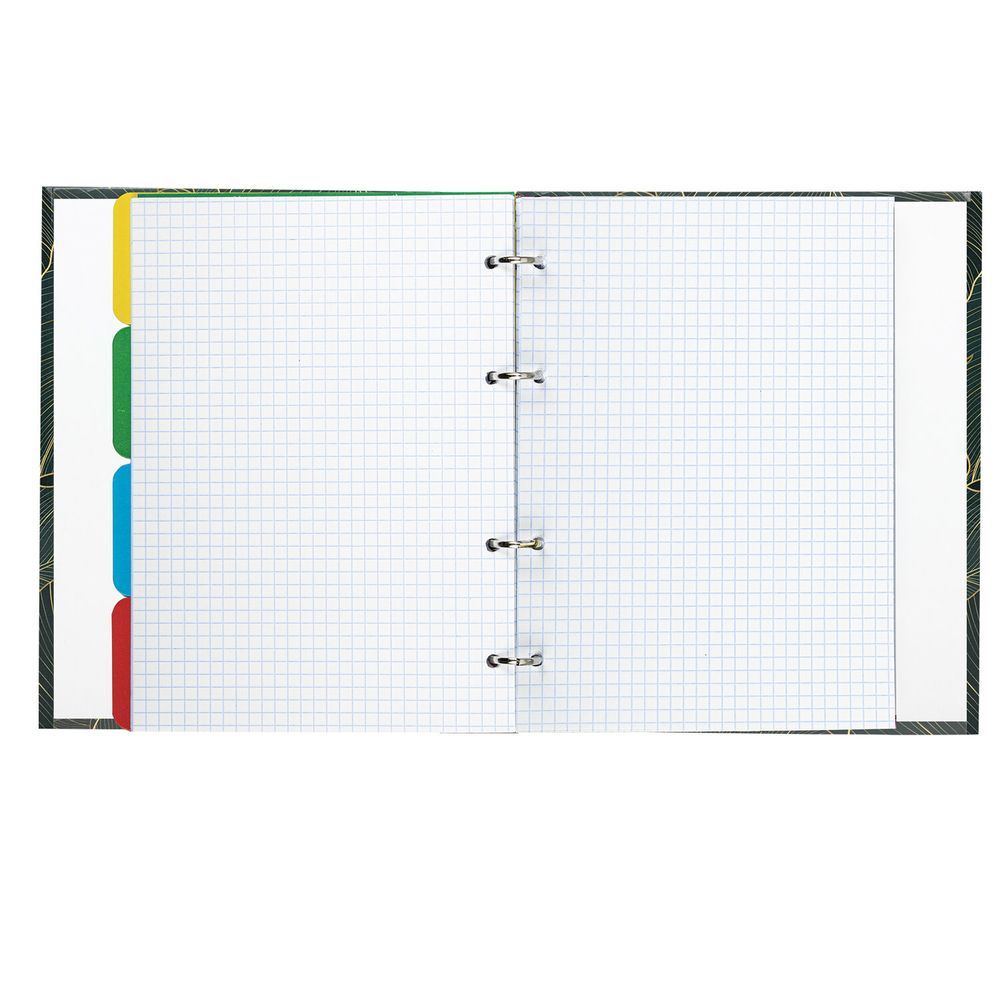 Тетрадь на кольцах А5 (175х215 мм), 240 листов, твердый картон, клетка, с разделителями, BRAUBERG, Листья