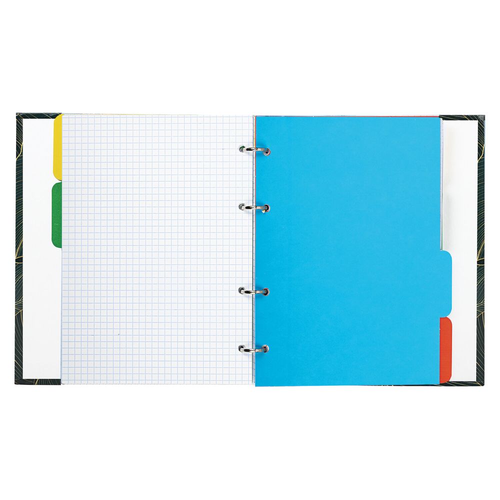 Тетрадь на кольцах А5 (175х215 мм), 240 листов, твердый картон, клетка, с разделителями, BRAUBERG, Листья