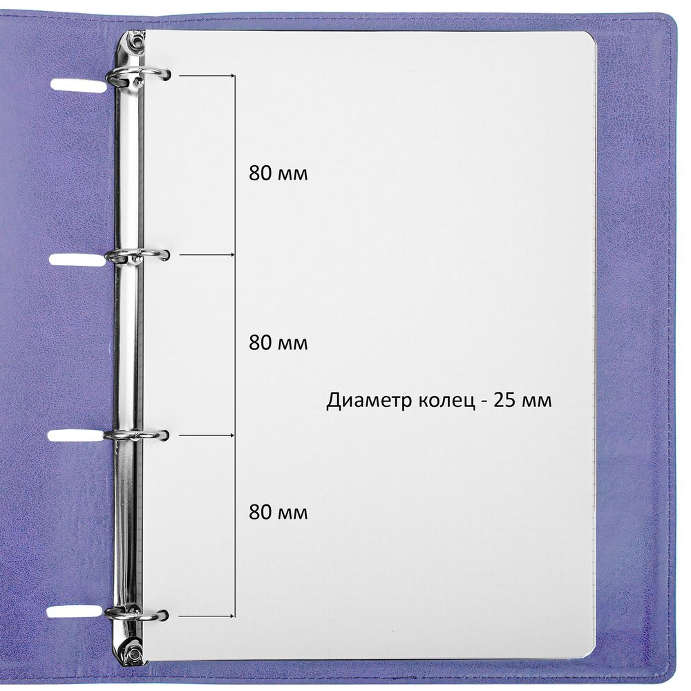 Тетрадь на кольцах БОЛЬШАЯ А4 (240х310 мм), 120 листов, под кожу, клетка, BRAUBERG "Joy", фиолетовый/светло-фиолетовый