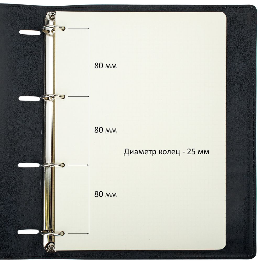 Тетрадь на кольцах БОЛЬШАЯ А4 (240х310 мм), 120 листов, под кожу, клетка, BRAUBERG 