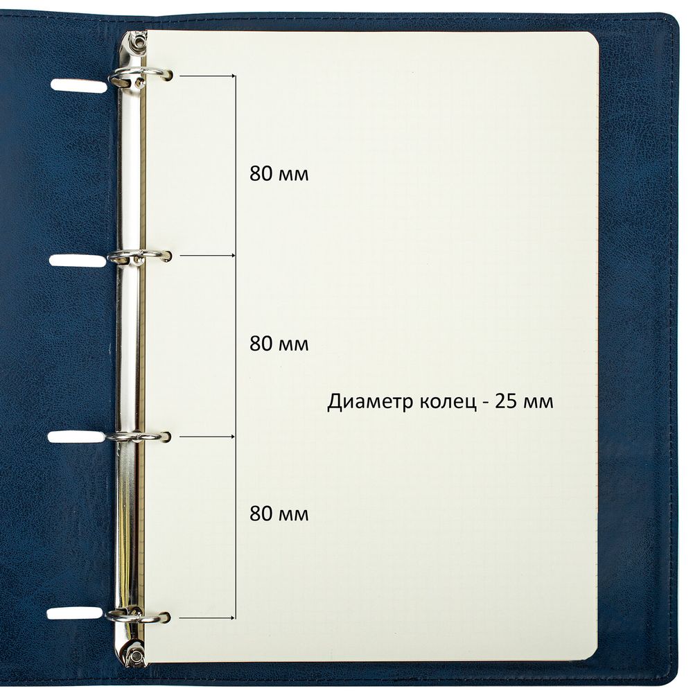 Тетрадь на кольцах БОЛЬШАЯ А4 (240х310 мм), 120 листов, под кожу, клетка, BRAUBERG 