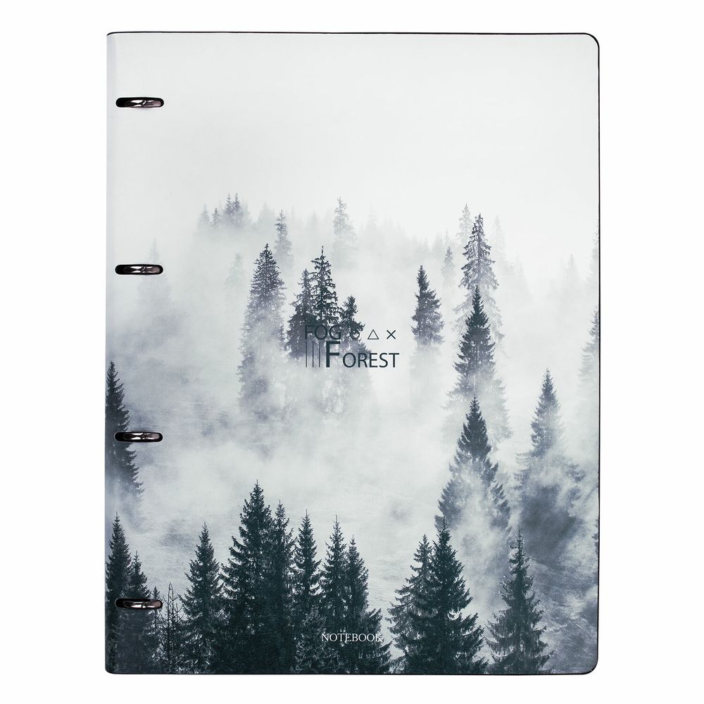 Тетрадь на кольцах БОЛЬШАЯ А4 (240х310 мм), 120 л., под кожу, BRAUBERG VISTA, "Туман"