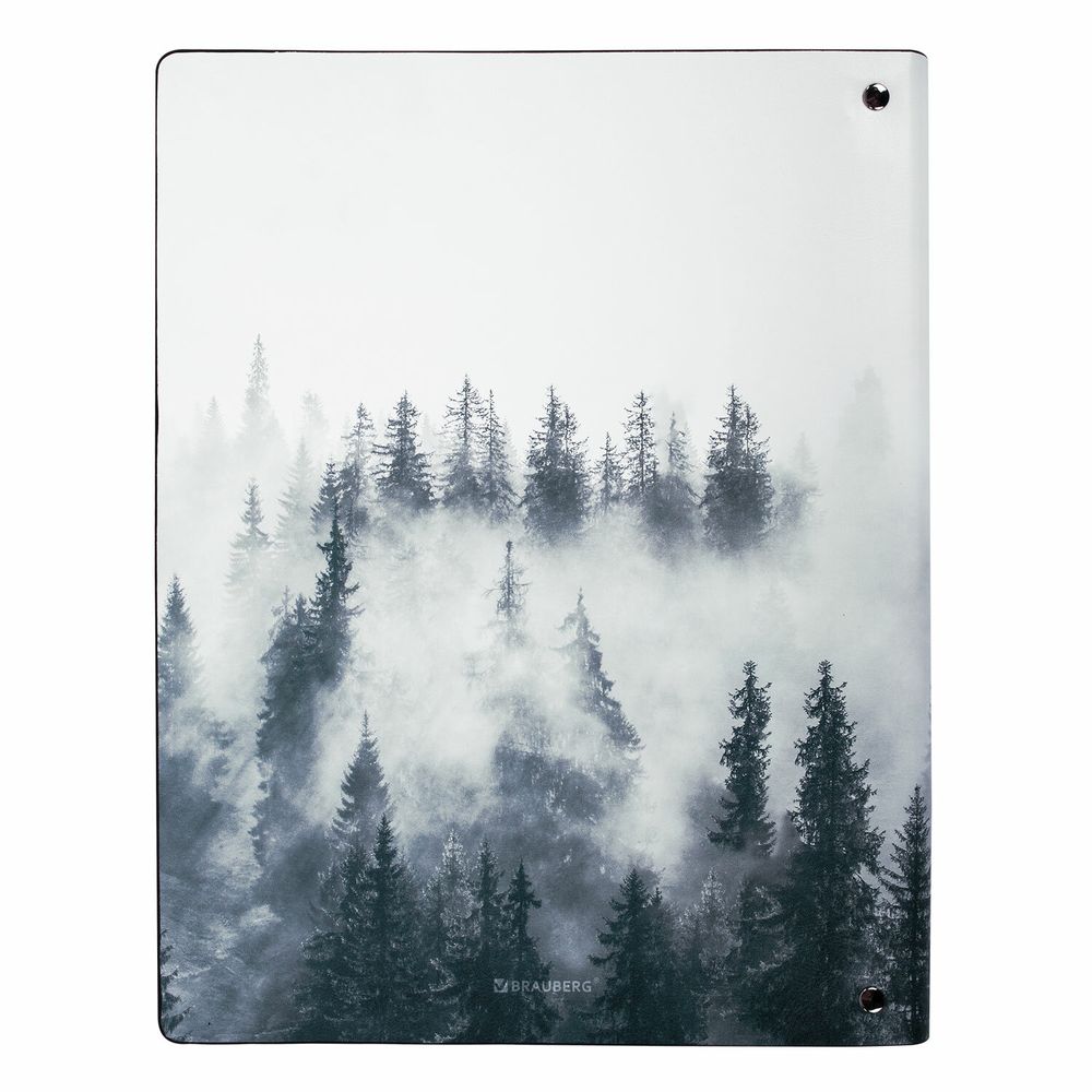 Тетрадь на кольцах БОЛЬШАЯ А4 (240х310 мм), 120 л., под кожу, BRAUBERG VISTA, "Туман"