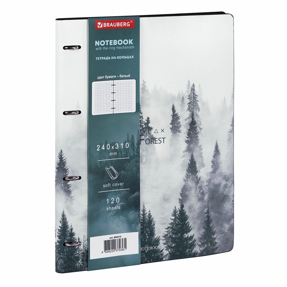 Тетрадь на кольцах БОЛЬШАЯ А4 (240х310 мм), 120 л., под кожу, BRAUBERG VISTA, "Туман"