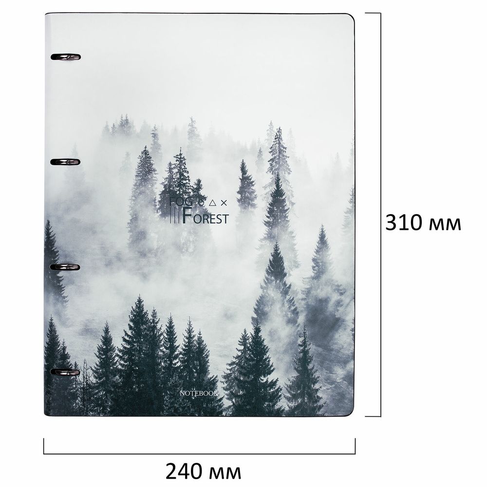 Тетрадь на кольцах БОЛЬШАЯ А4 (240х310 мм), 120 л., под кожу, BRAUBERG VISTA, "Туман"