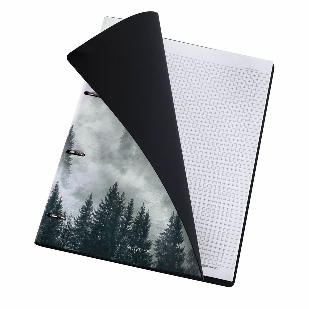 Тетрадь на кольцах БОЛЬШАЯ А4 (240х310 мм), 120 л., под кожу, BRAUBERG VISTA, "Туман"