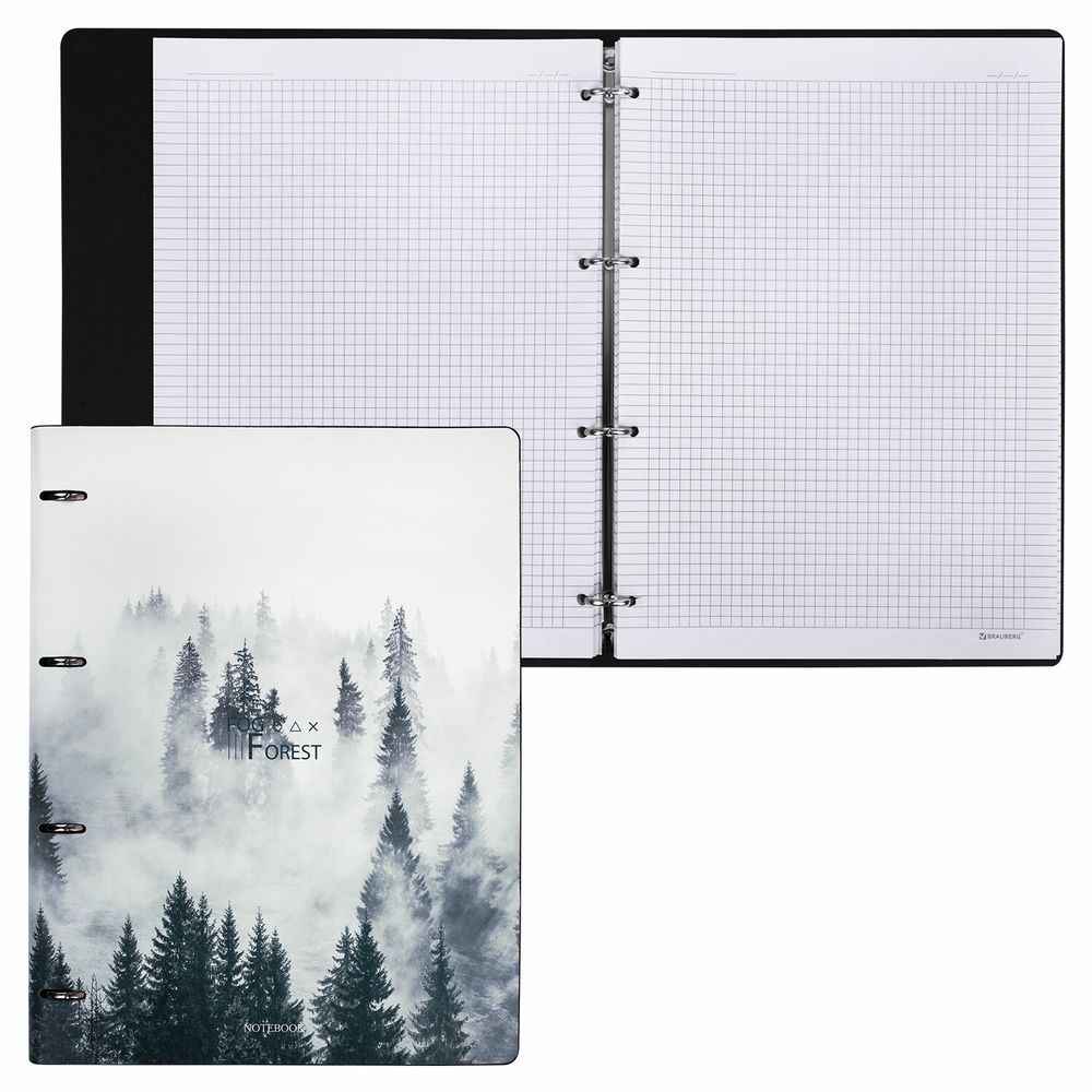 Тетрадь на кольцах БОЛЬШАЯ А4 (240х310 мм), 120 л., под кожу, BRAUBERG VISTA, "Туман"