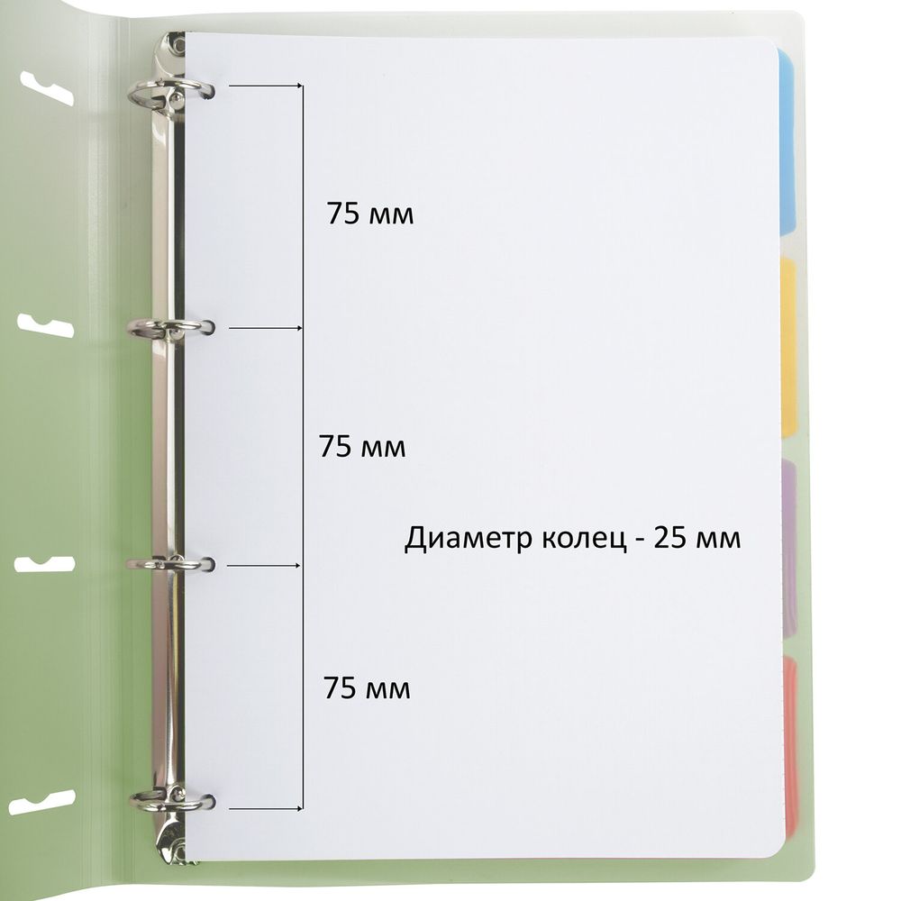 Тетрадь на кольцах БОЛЬШАЯ 305х235 мм А4, 120 л., пластик, с разделителями, BRAUBERG, Зеленый
